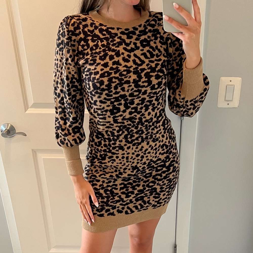 Loft Cheetah Sweater Dress